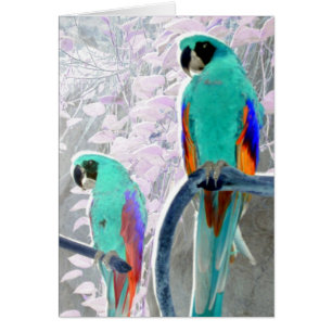 Loros del hielo
