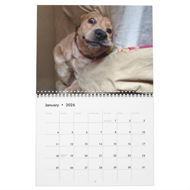 Los 2013 calendarios de "mi Dirk del perro" (Jan 2026)