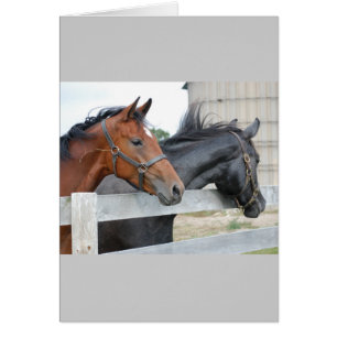 Los amantes de los caballos