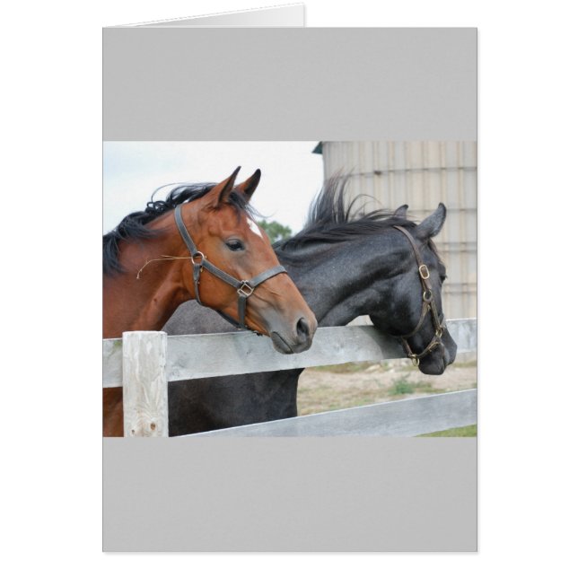 Los amantes de los caballos (Frente)