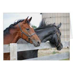 Los amantes de los caballos