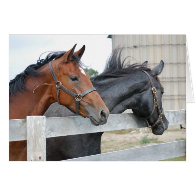 Los amantes de los caballos (Anverso (Horizontal))