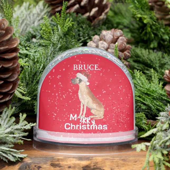 Los amantes del perro se divierten en la navidad d (Invierno)