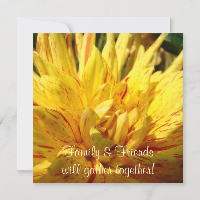 ¡Los amigos de la familia se reúnen! Invitaciones  (Anverso)