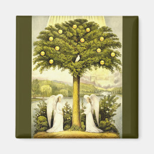 los ángeles pasan el imán