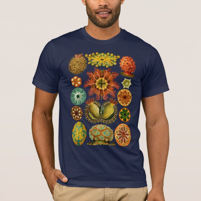 Los ASCIDIACEA de HAECKEL - Camiseta (Anverso)