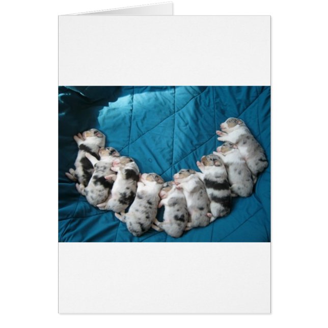 los australianos hacen que sonríe (Frente)