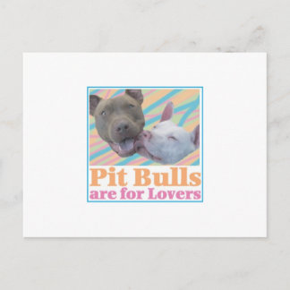 Los Bulls de pozo son para la postal de los amante