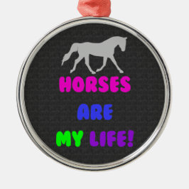 Los caballos lindos son mi ornamento de la vida