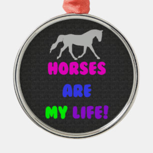 Los caballos lindos son mi ornamento de la vida