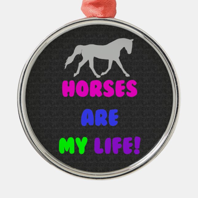 Los caballos lindos son mi ornamento de la vida (Frente)