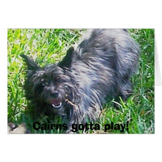 ¡Los Cairns tienen que jugar!