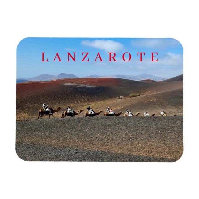 Los camellos de Lanzarote ven el imán de la nevera (Horizontal)