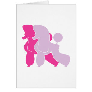 Los caniches rosados