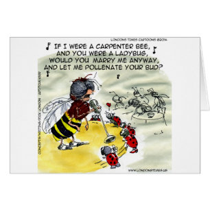 Los cantantes de discotecas insectos son divertido