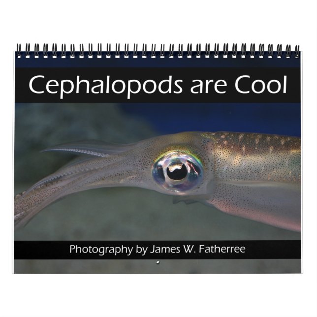 Los Cephalopodos son el Calendario de Guay (Tapa)