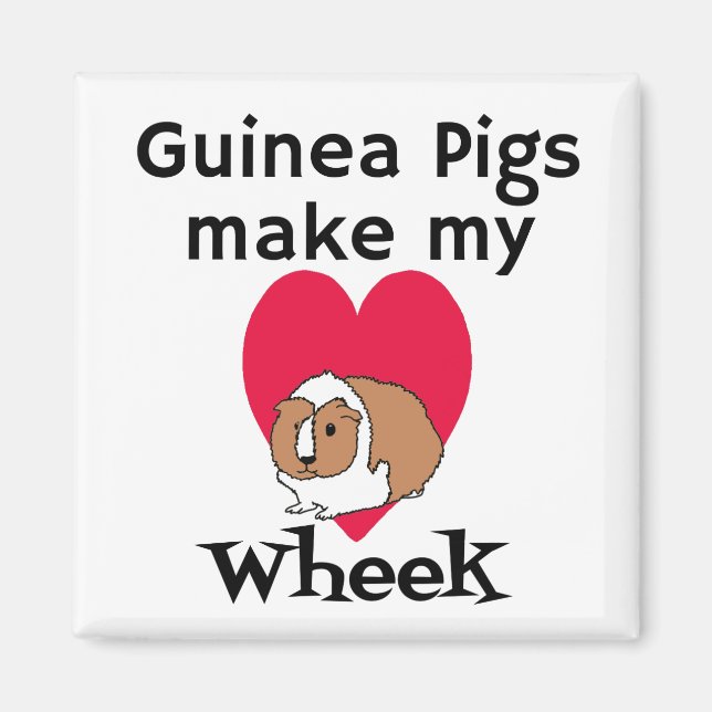 Los cerdos de Guinea hacen mi imán de la rueda del (Frente)