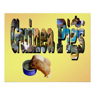 Los Cerdos De Guinea Son La Palabra, Poster
