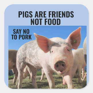 LOS CERDOS SON AMIGOS NO COMIDA - PEGATINAS VEGANO
