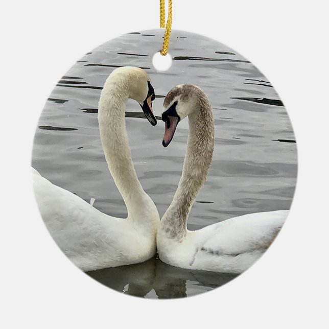 Los cisnes de Ashley en el ornamento del amor (Frente)