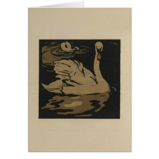 Los cisnes y sus reflexiones