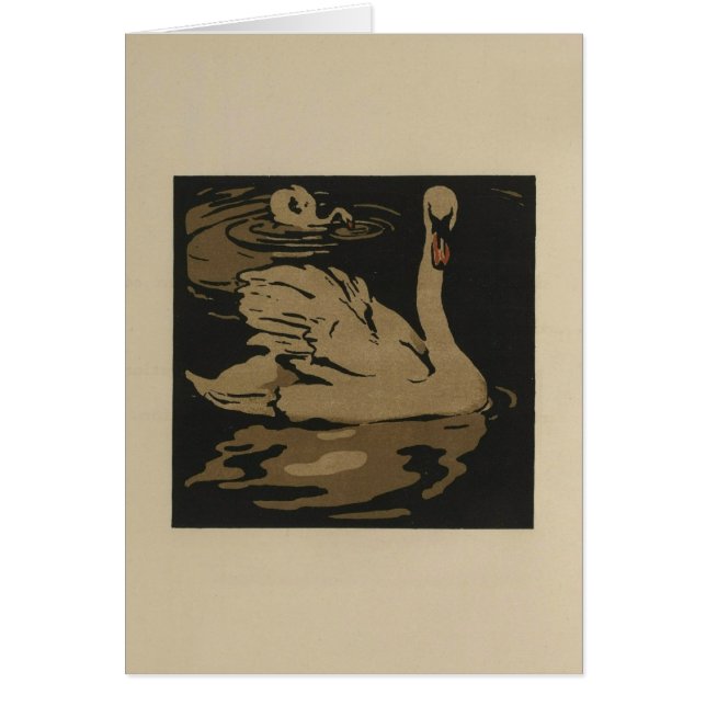Los cisnes y sus reflexiones (Frente)