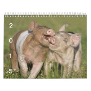 Los cochinillos felices 2015 - calendario lindo de