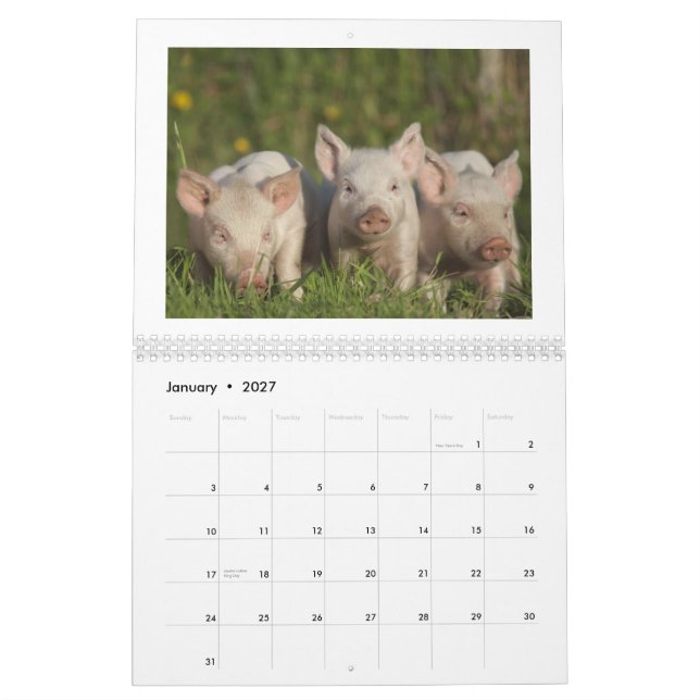Los cochinillos felices 2015 - calendario lindo de (Jan 2027)