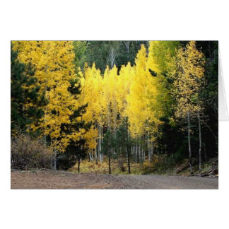 Los colores de otoño fueron GRANDES