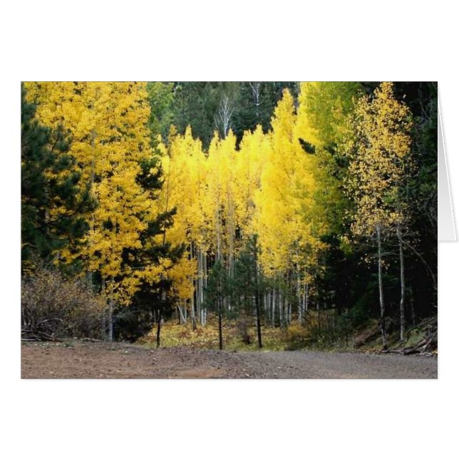 Los colores de otoño fueron GRANDES (Anverso (Horizontal))