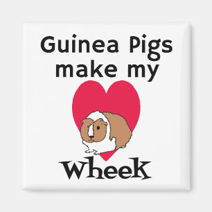 Los conejillos de Indias hacen mi imán de Wheek