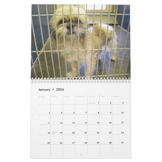 Los cuellos verdaderos del calendario de los (Jan 2026)