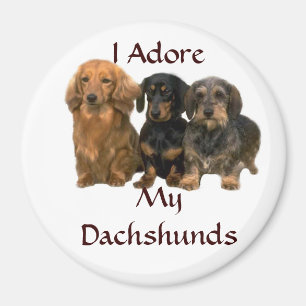 Los Dachshunds I adoran el imán