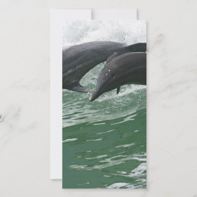 Los delfines saltantes (Anverso)