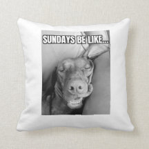 Los Domingos Son Como La Almohada Vizsla