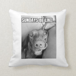 Los Domingos Son Como La Almohada Vizsla