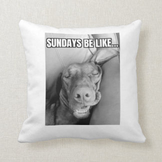 Los Domingos Son Como La Almohada Vizsla