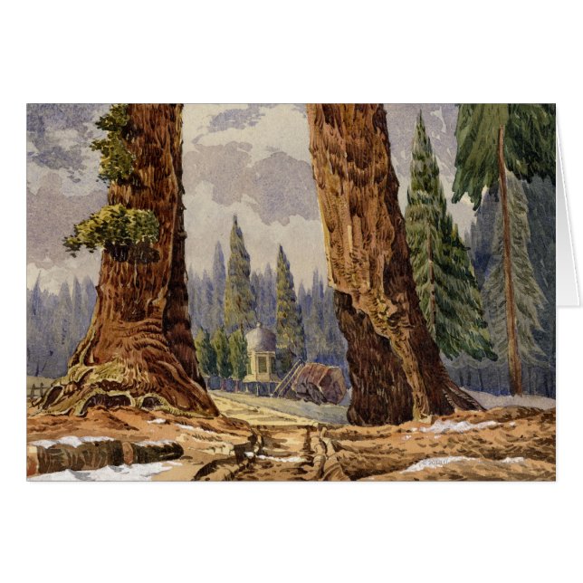 Los dos centinelas, en la arboleda de árboles (Anverso (Horizontal))