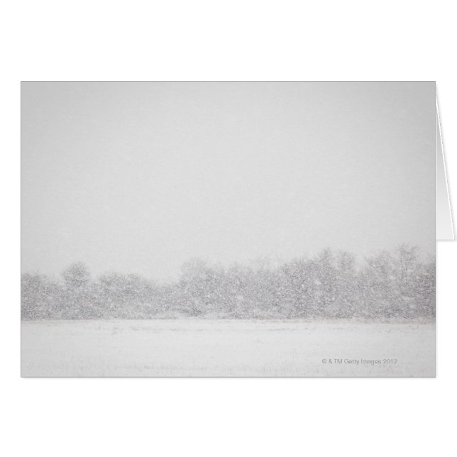 Los E.E.U.U., Estado de Nuevo York, playa de (Anverso (Horizontal))