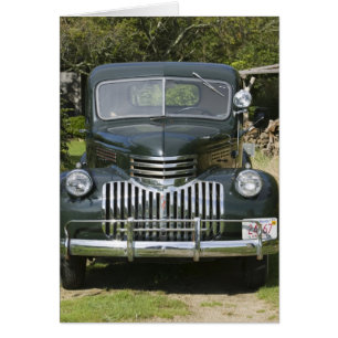 Los E.E.U.U., MASSACHUSETTS, Martha's Vineyard: 4