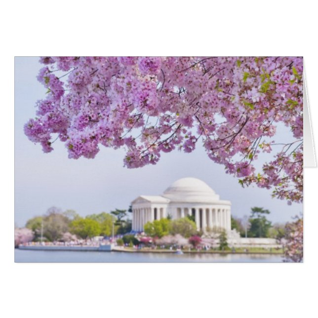 Los E.E.U.U., Washington DC, cerezo en la (Anverso (Horizontal))