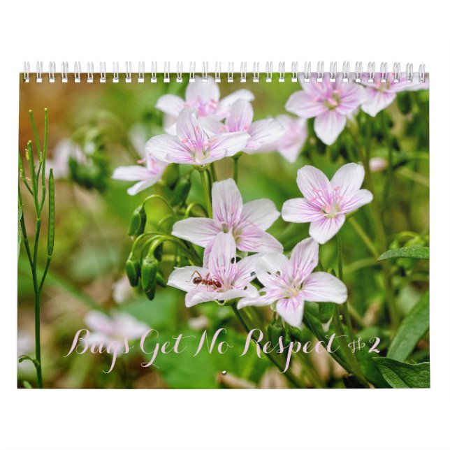 Los errores no tienen respeto #2 Calendario (Tapa)