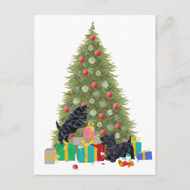 Los escoceses clasifican los regalos del navidad (Anverso)