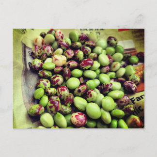 Los Gandules de la Finca Postal