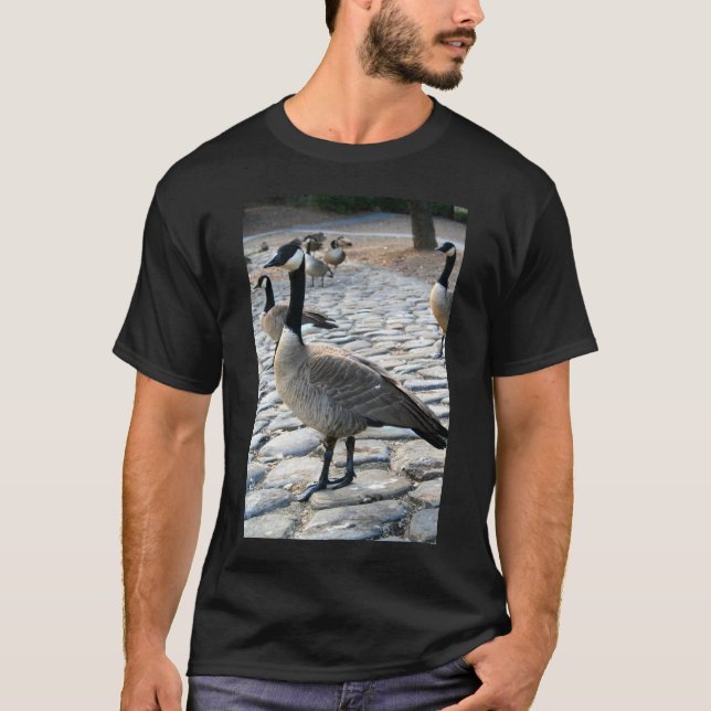 Los gansos canadienses acercan a la camiseta del (Anverso)