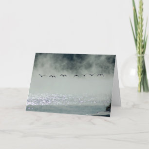 Los gansos toman la tarjeta del vuelo