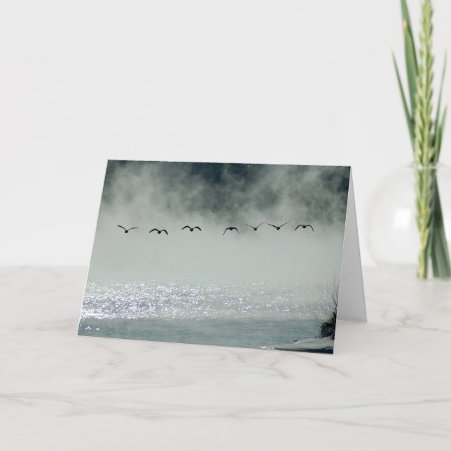 Los gansos toman la tarjeta del vuelo (Anverso)