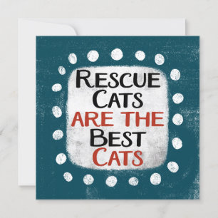 Los Gatos De Rescate Son La Mejor Tarjeta De Salud