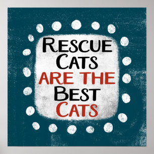 Los Gatos De Rescate Son Los Mejores Gatos De Arte