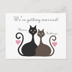 Los gatos del amor ahorran la postal de la